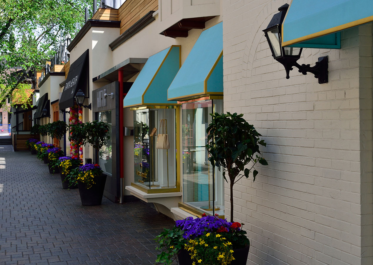 Vaughan Real Estate - Teresa Berardi, Broker